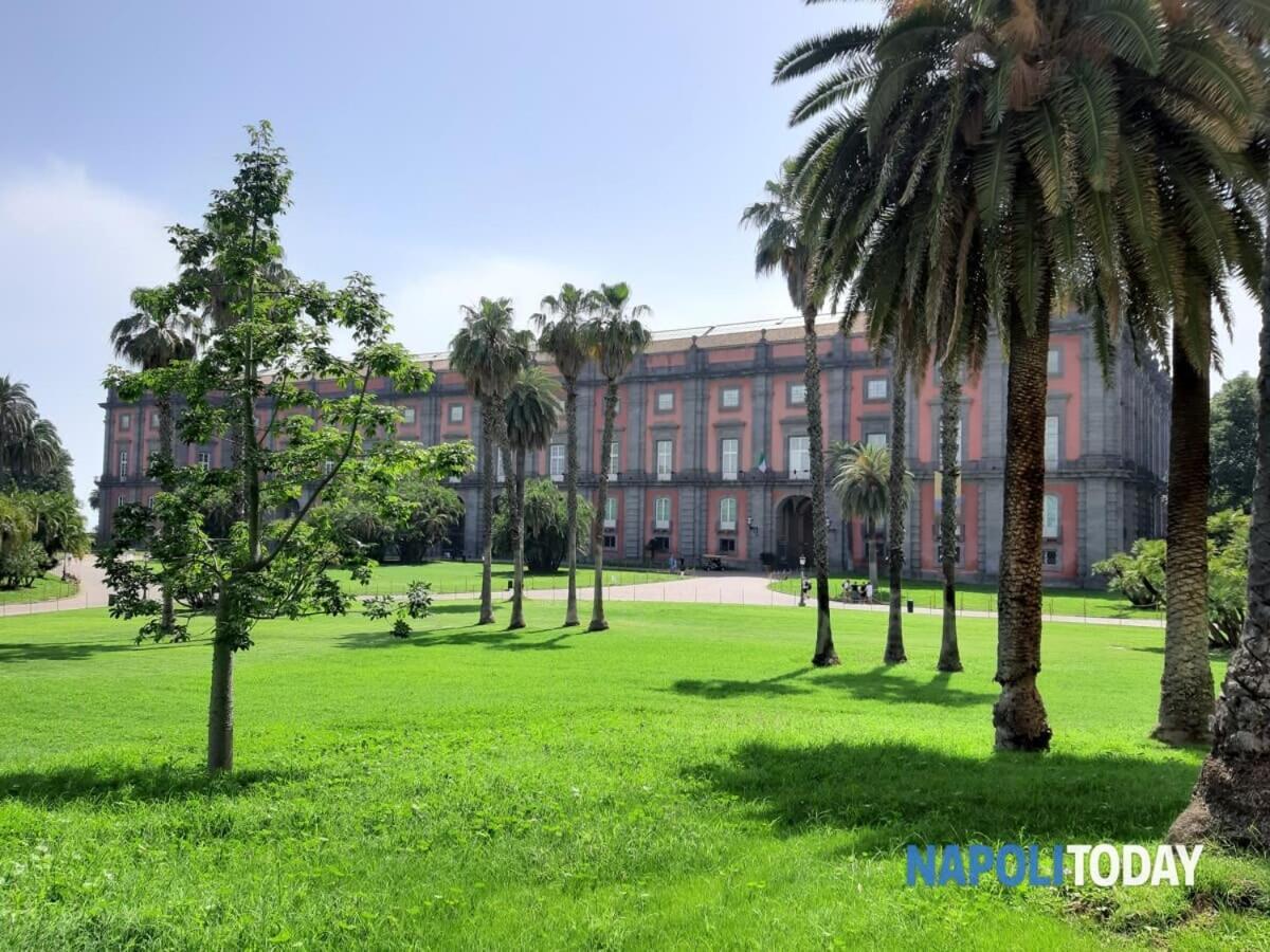 La Casita Nel Bosco Apartment Napoli Exterior foto